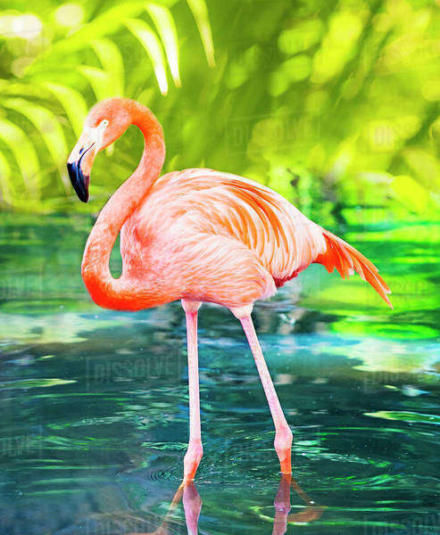 FLAMINGO BEACH BAG main image 1