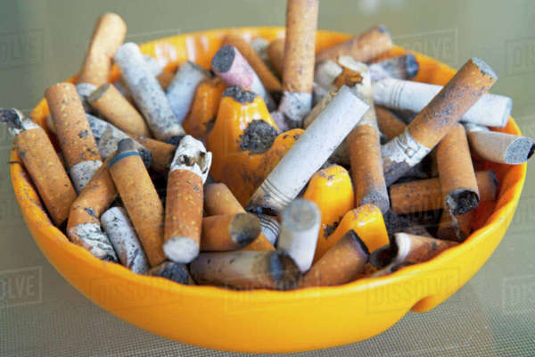 can you buy menthol cigarettes in amsterdam Long-awaited ban on menthol cigarettes could be delayed into 2024, public health groups fear can you buy menthol cigarettes in amsterdam Long-awaited ban on menthol cigarettes could be delayed into 2024, public health groups fear
