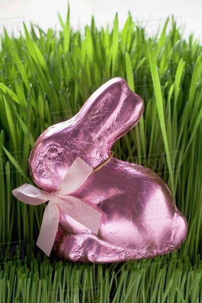 Pink chocolate Easter Bunny in grass - Stock Photo - Dissolve
