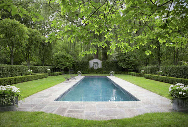 Formal shaped hedge garden with narrow pool , bluestone patio, white