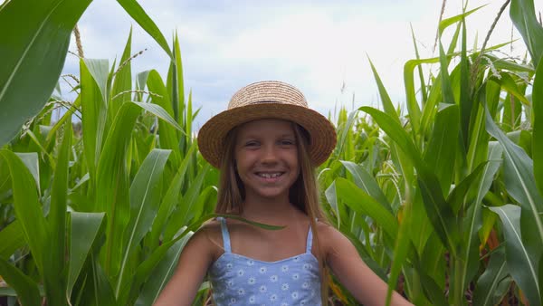 Happy Cute Kid With Long Blonde Hair Walking Over The Maize