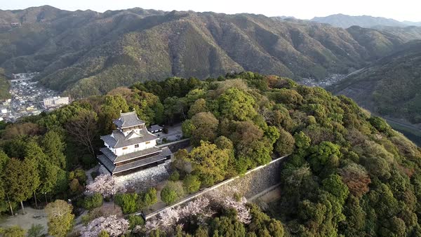 Cherry blossom at Iwakuni Castle, Iwakuni, Yamaguchi Prefecture, Japan