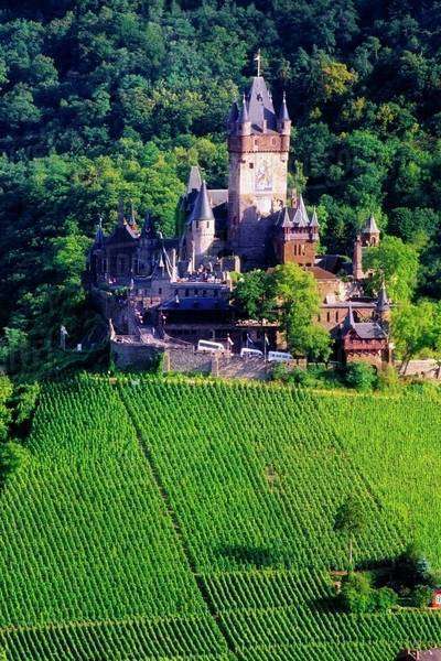 Single cochem