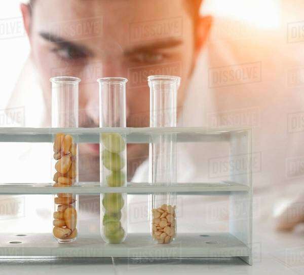 A researcher examining seeds in a laboratory