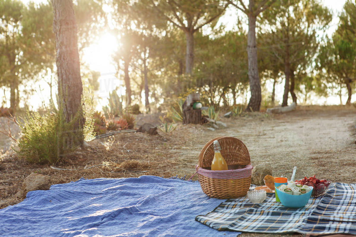 Picnic under trees Stock Photo Dissolve