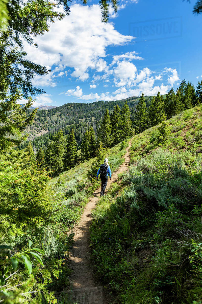 Woman hiking by forest in Sun Valley, Idaho, USA Stock Photo Dissolve
