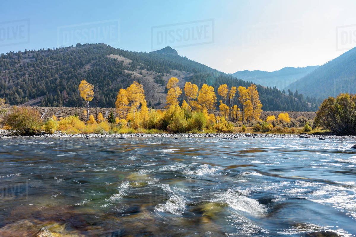 United States, Idaho, Sun Valley, Big Lost River in autumn landscape