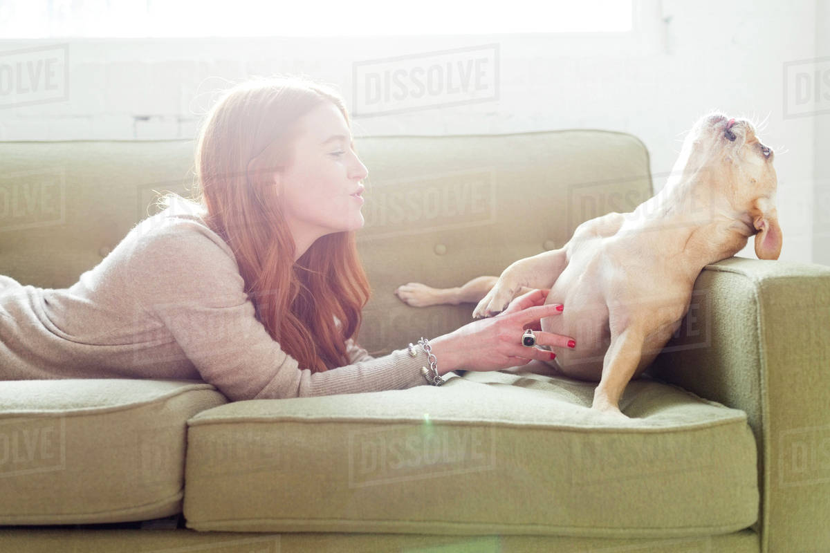 Woman Lying On Sofa Stroking Pug Stock Photo Dissolve