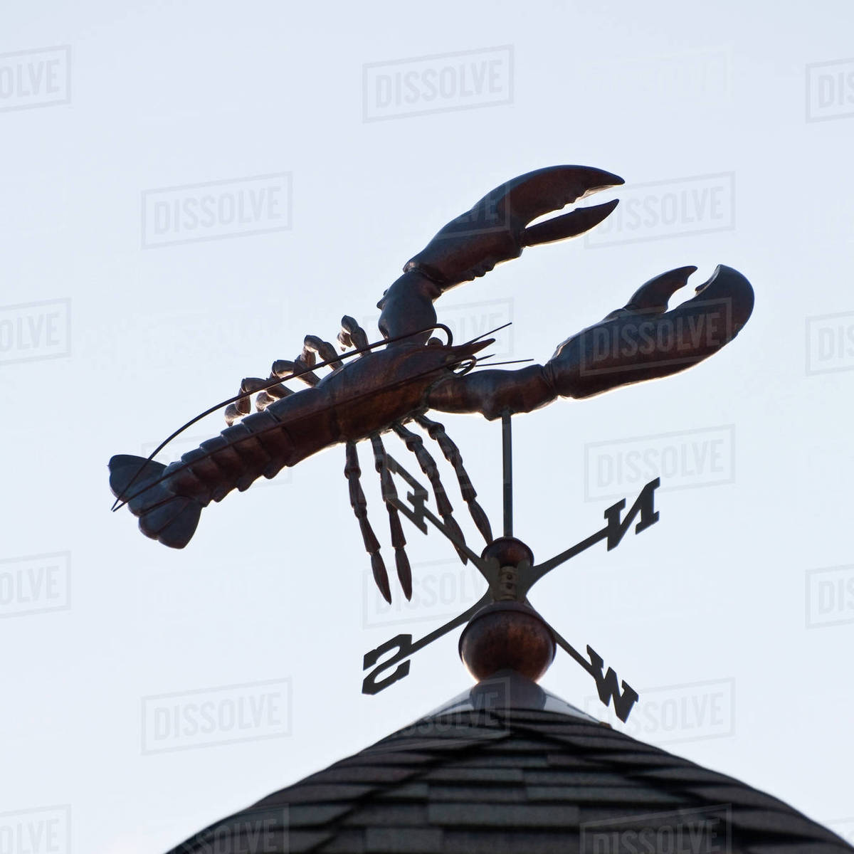 Lobster weathervane Stock Photo Dissolve
