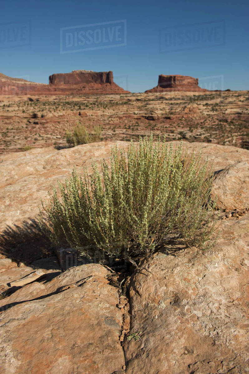 Monitor and Merrimack buttes, Utah Stock Photo Dissolve