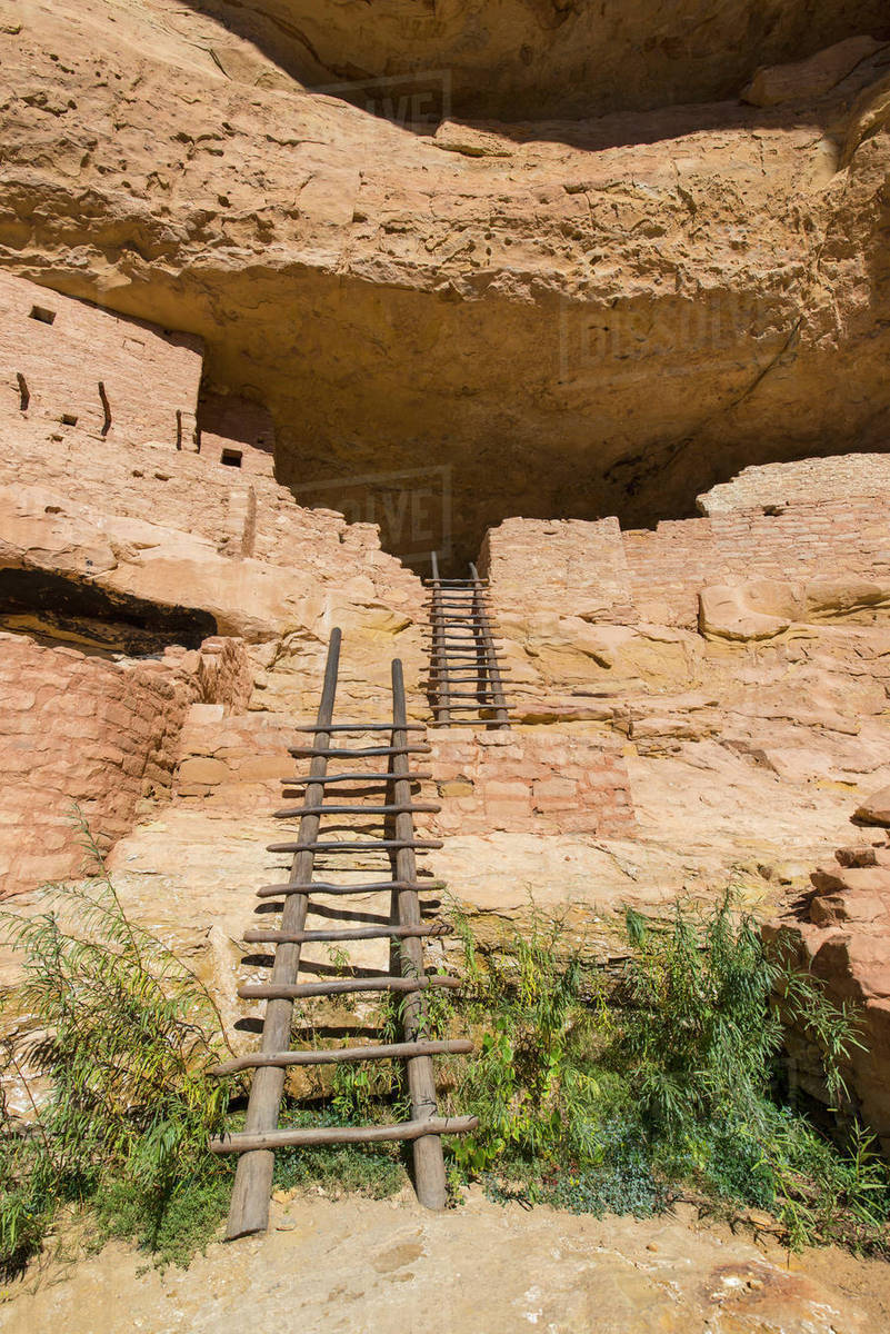 USA, Colorado, Ladders at Long House pueblo ruin in Mesa Verde National