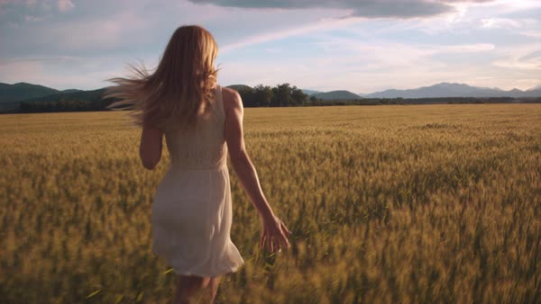 Swingers in wheatfield in
