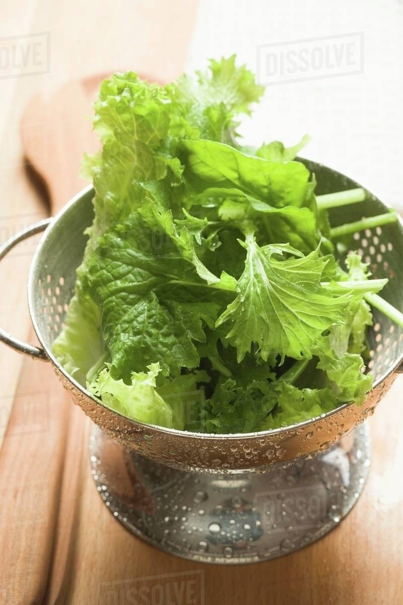 Freshly washed salad leaves in colander Stock Photo Dissolve