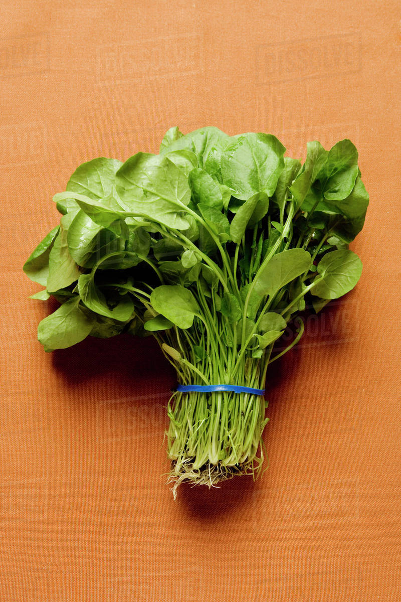 A bunch of spinach Stock Photo Dissolve