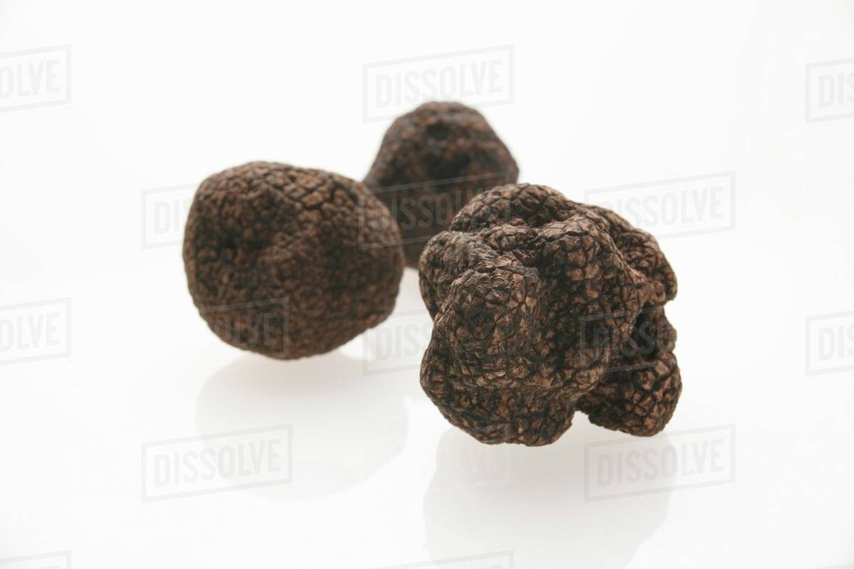 Black truffles (Chinese truffles) Stock Photo Dissolve
