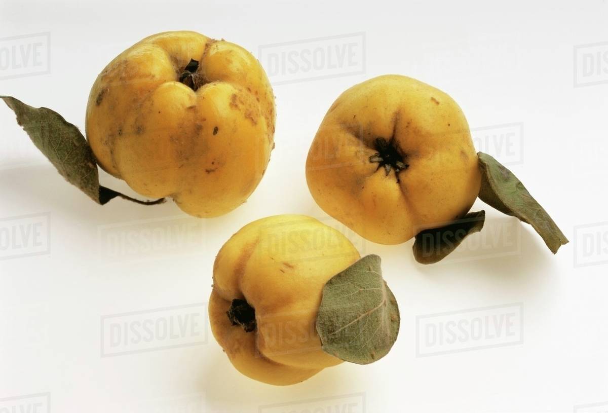 three-quinces-stock-photo-dissolve
