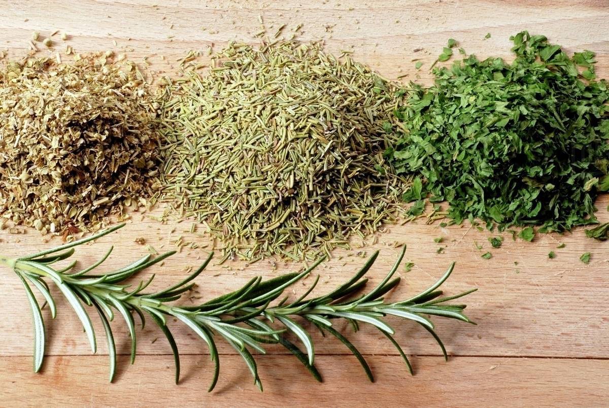 Still life with dried herbs - Stock Photo - Dissolve
