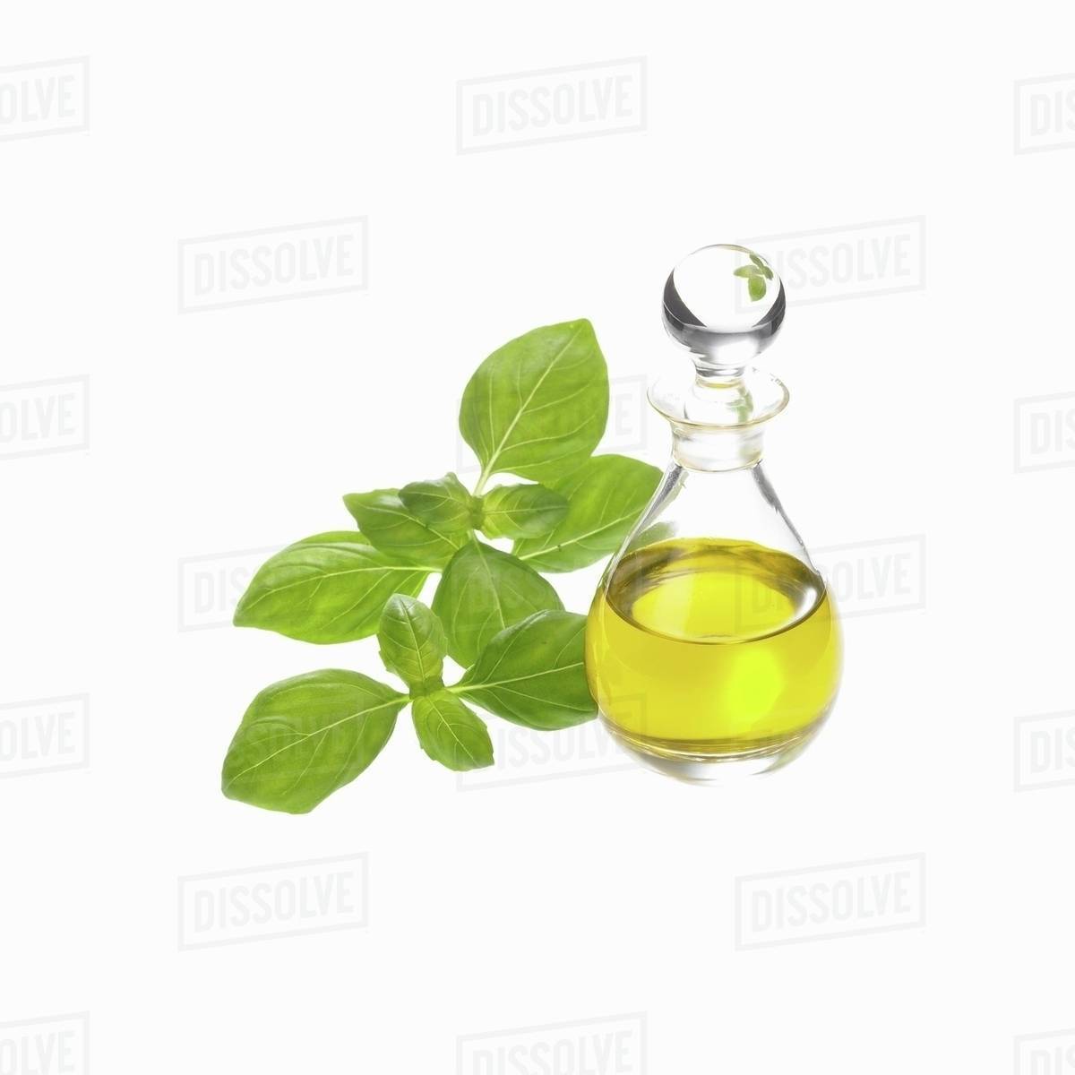 Basil oil Stock Photo Dissolve