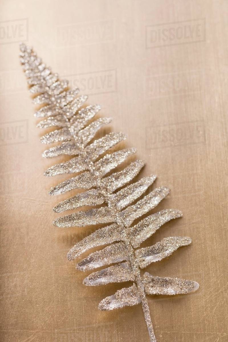 Silver fern (Christmas decoration) Stock Photo Dissolve