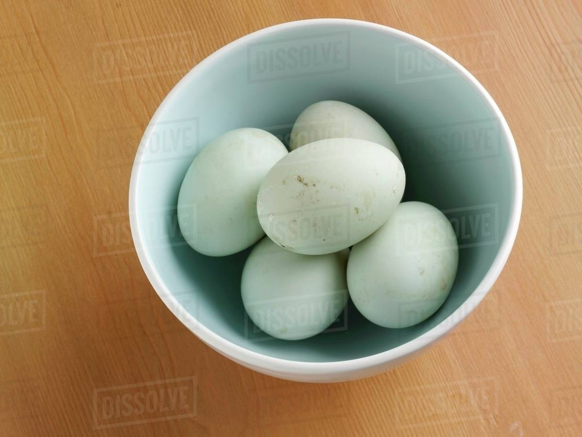 Free Range White Eggs in a Bowl Stock Photo Dissolve