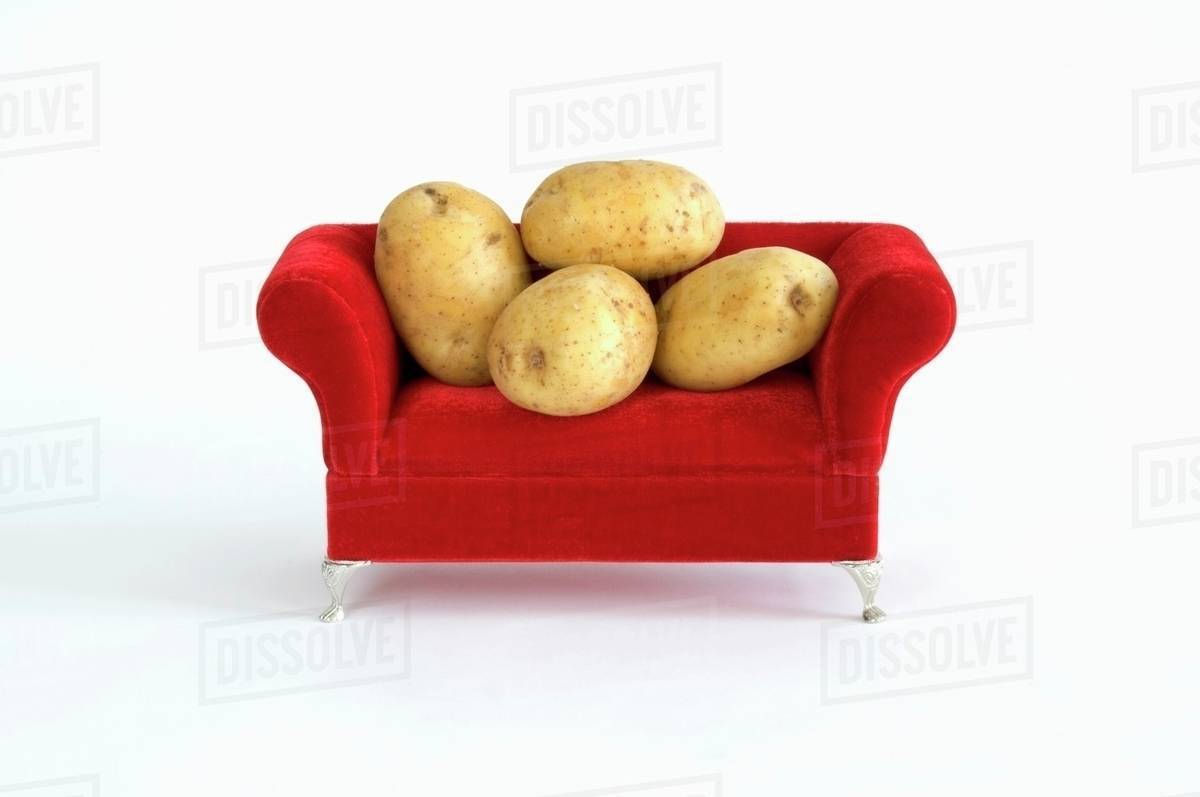 Couch Potatoes Stock Photo Dissolve