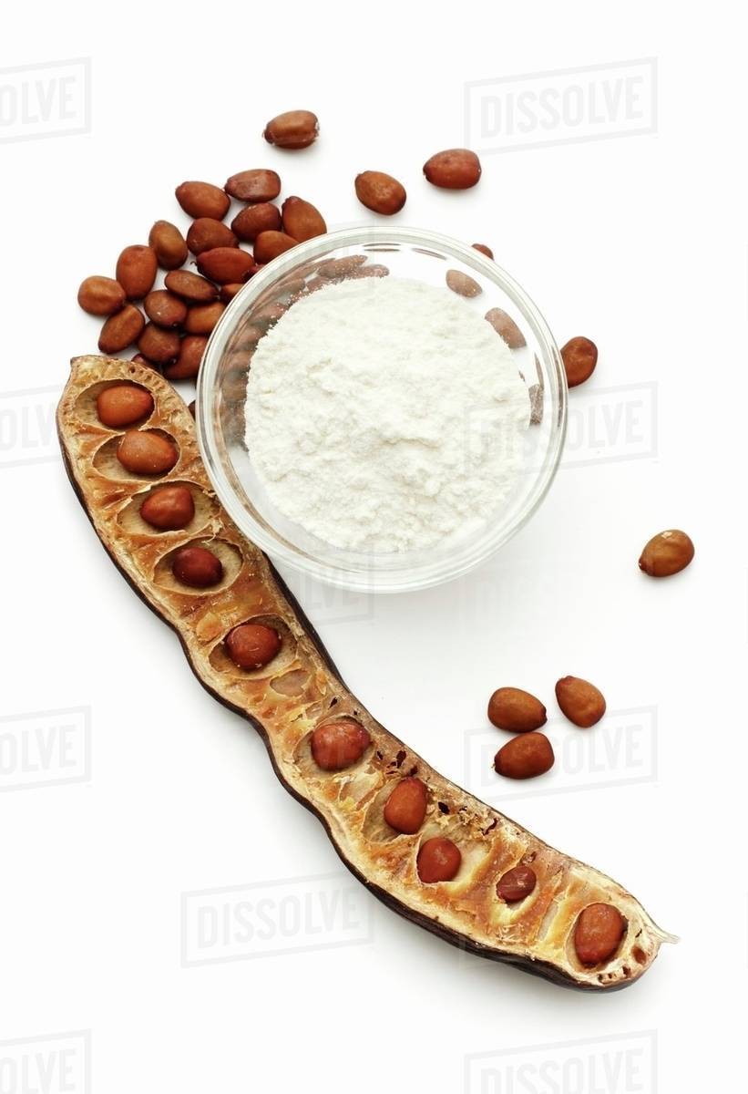 Carob bean flour and carob bean seeds Stock Photo Dissolve