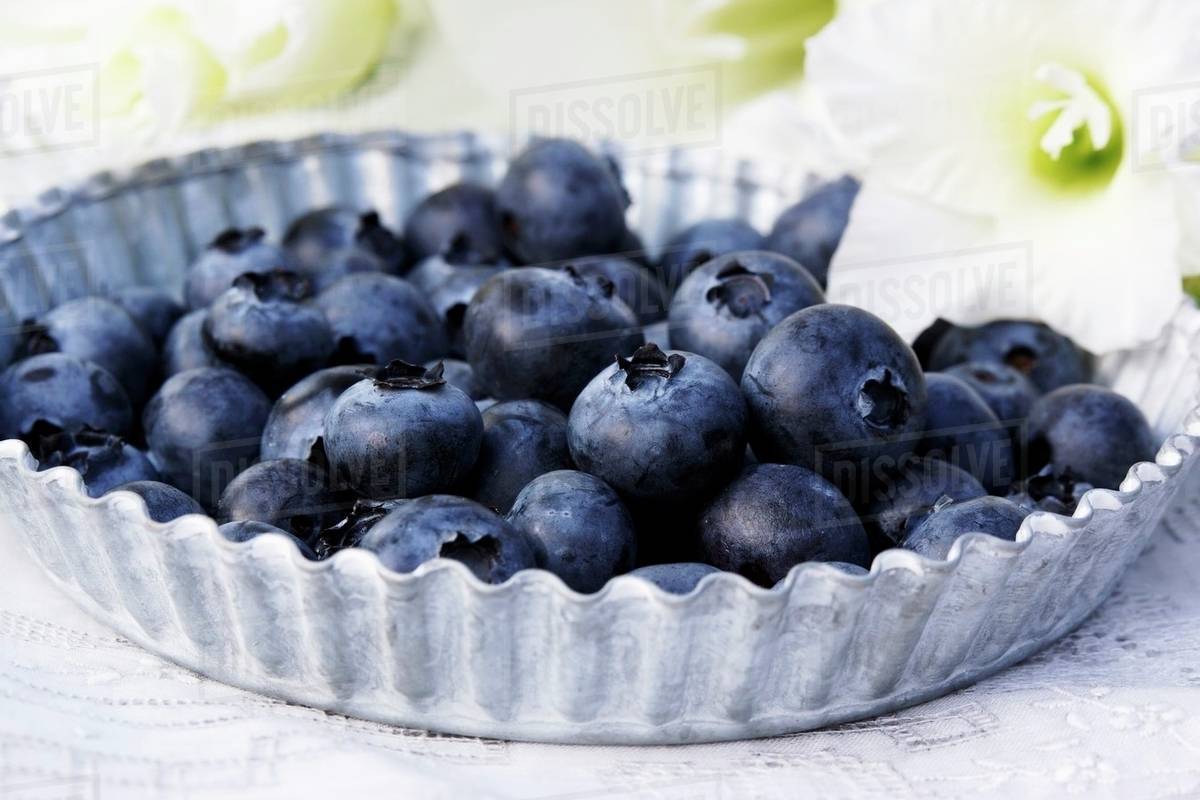 Fresh blueberries on a zinc plate Stock Photo Dissolve