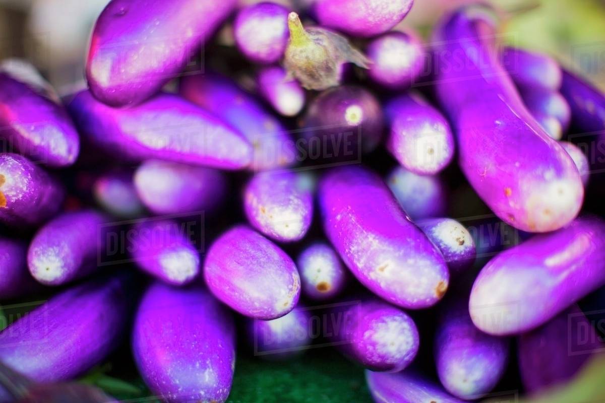 Japanese aubergines Stock Photo Dissolve