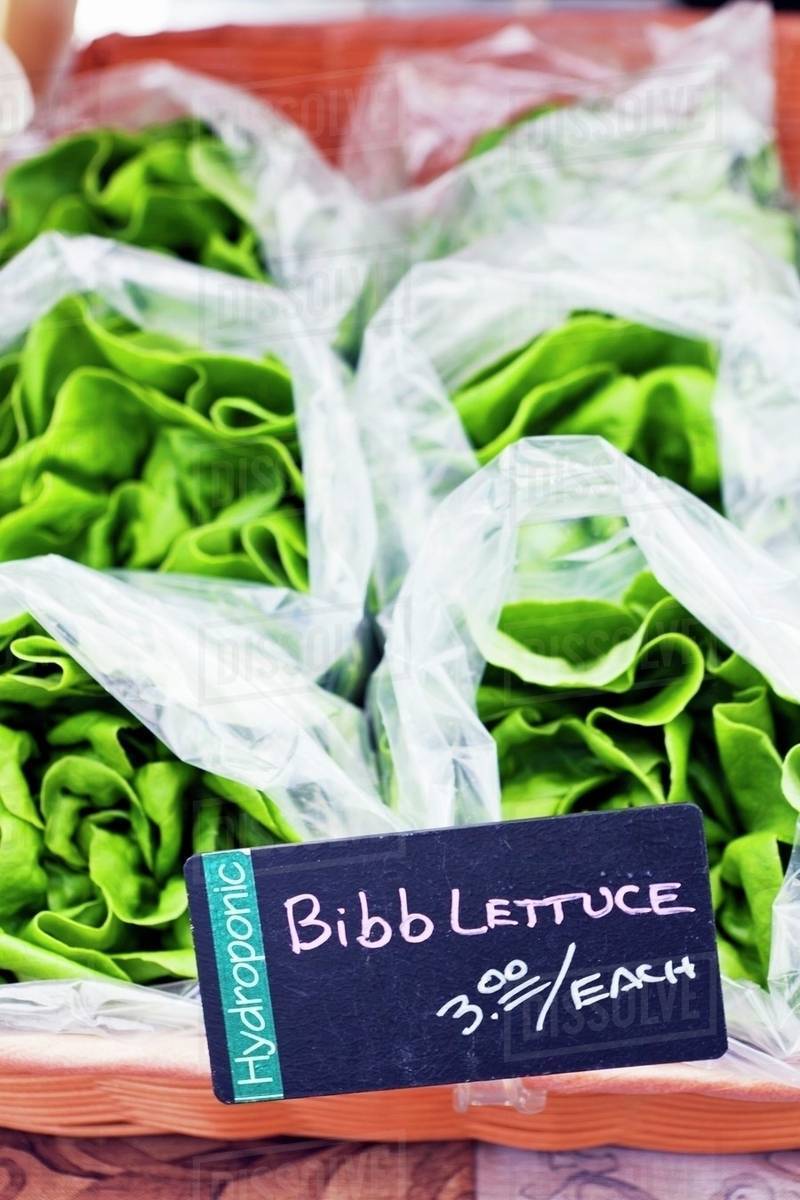 Lettuce In Plastic Bags At A Farmer S Market Stock Photo