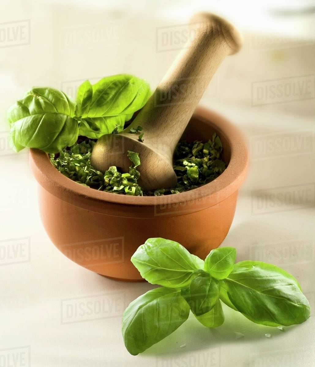Basil pesto in a mortar Stock Photo Dissolve