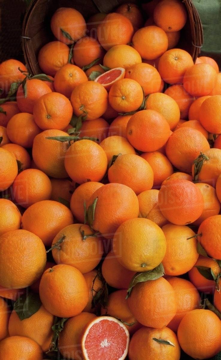 Cara Cara oranges Stock Photo Dissolve
