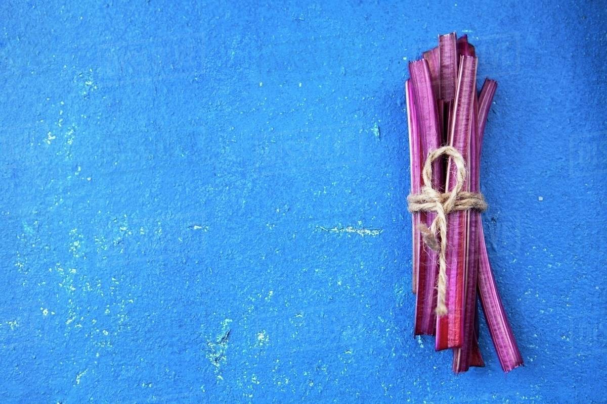 Beetroot Stems On A Blue Surface Stock Photo Dissolve beetroot-stems-on-a-blue-surface-stock-photo-dissolve