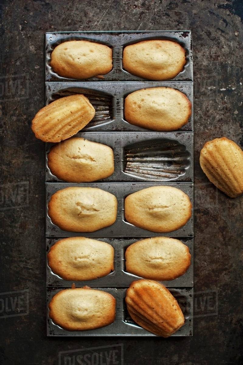 Madeleines in a baking tin (seen from above) Stock Photo Dissolve