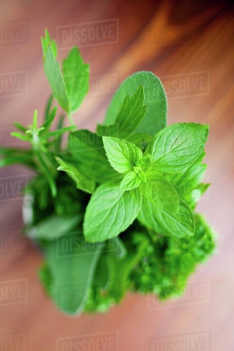 A bunch of fresh herbs Stock Photo Dissolve