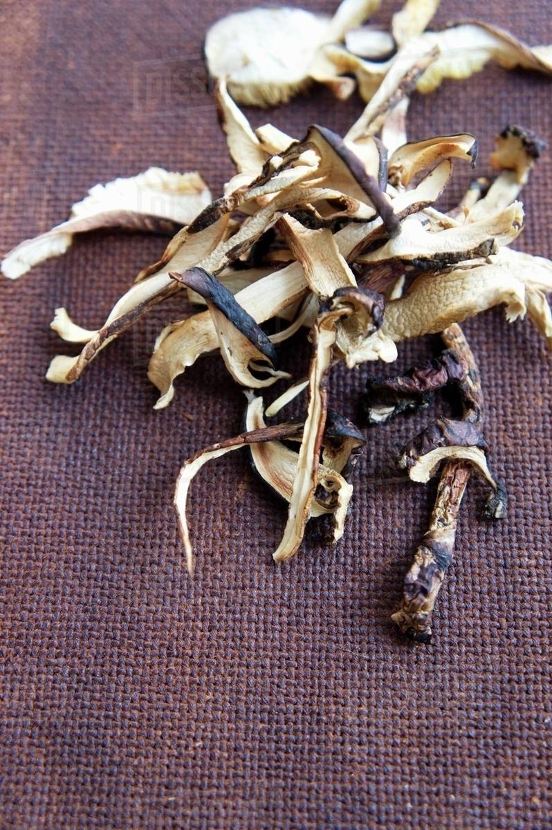 Dried matsutake mushrooms Stock Photo Dissolve