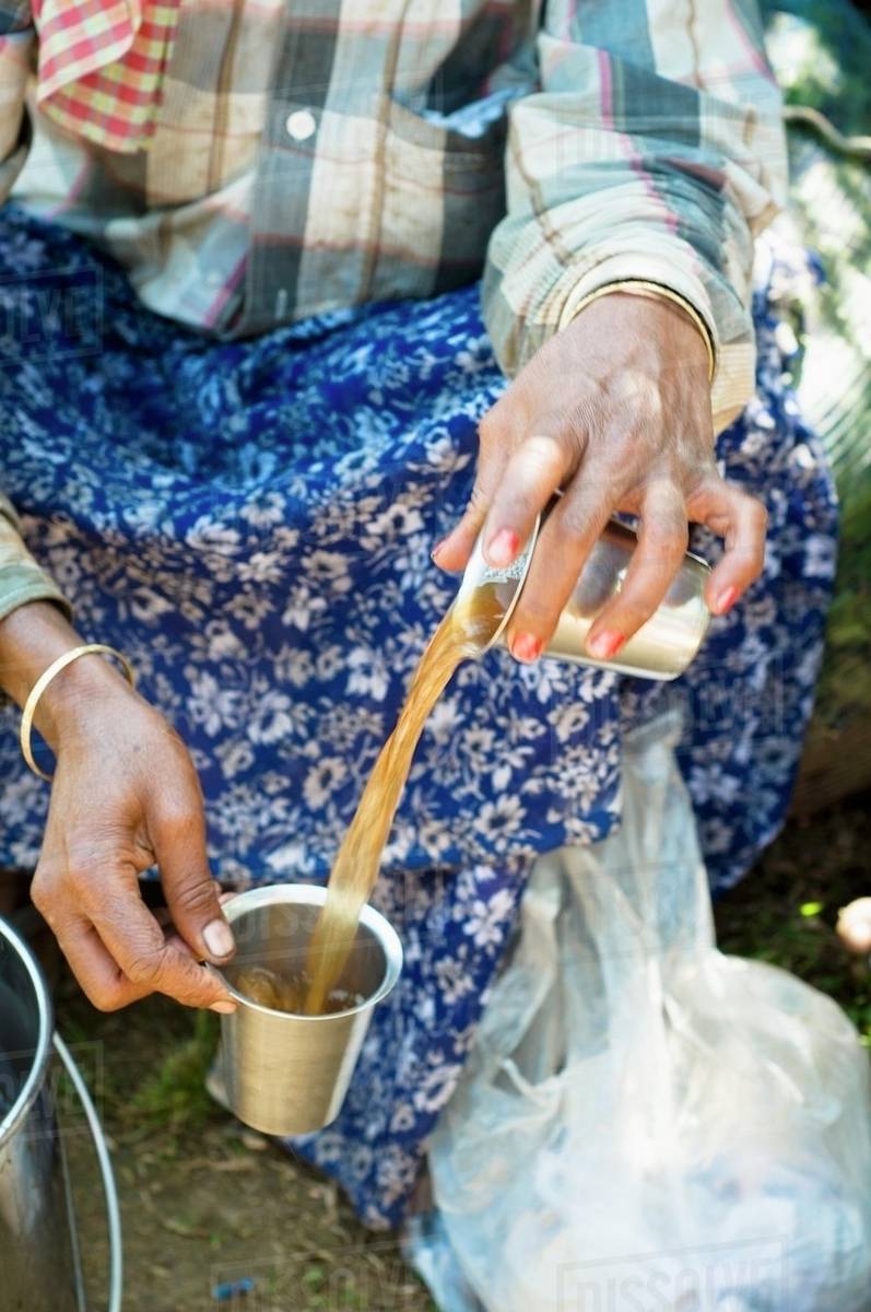 A tea picker drinking tea (Kerala, India) Stock Photo Dissolve