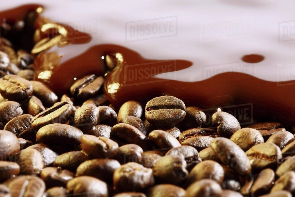 Coffee beans and chocolate Stock Photo Dissolve