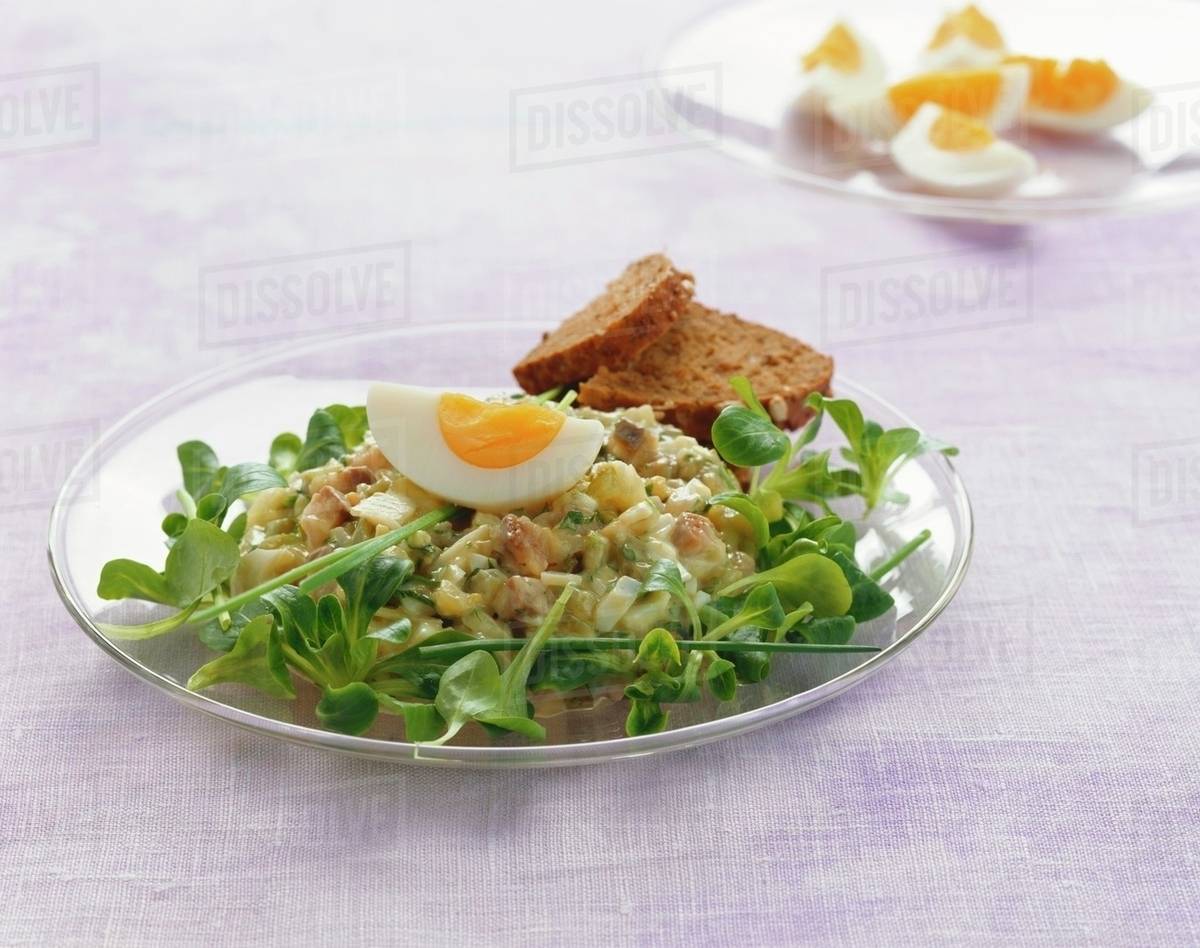 Matjes herring tartare with egg and corn salad Stock Photo Dissolve