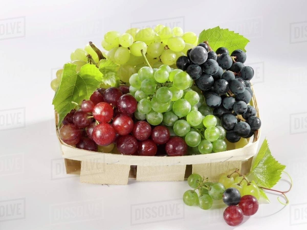Four types of grapes in a punnet - Stock Photo - Dissolve