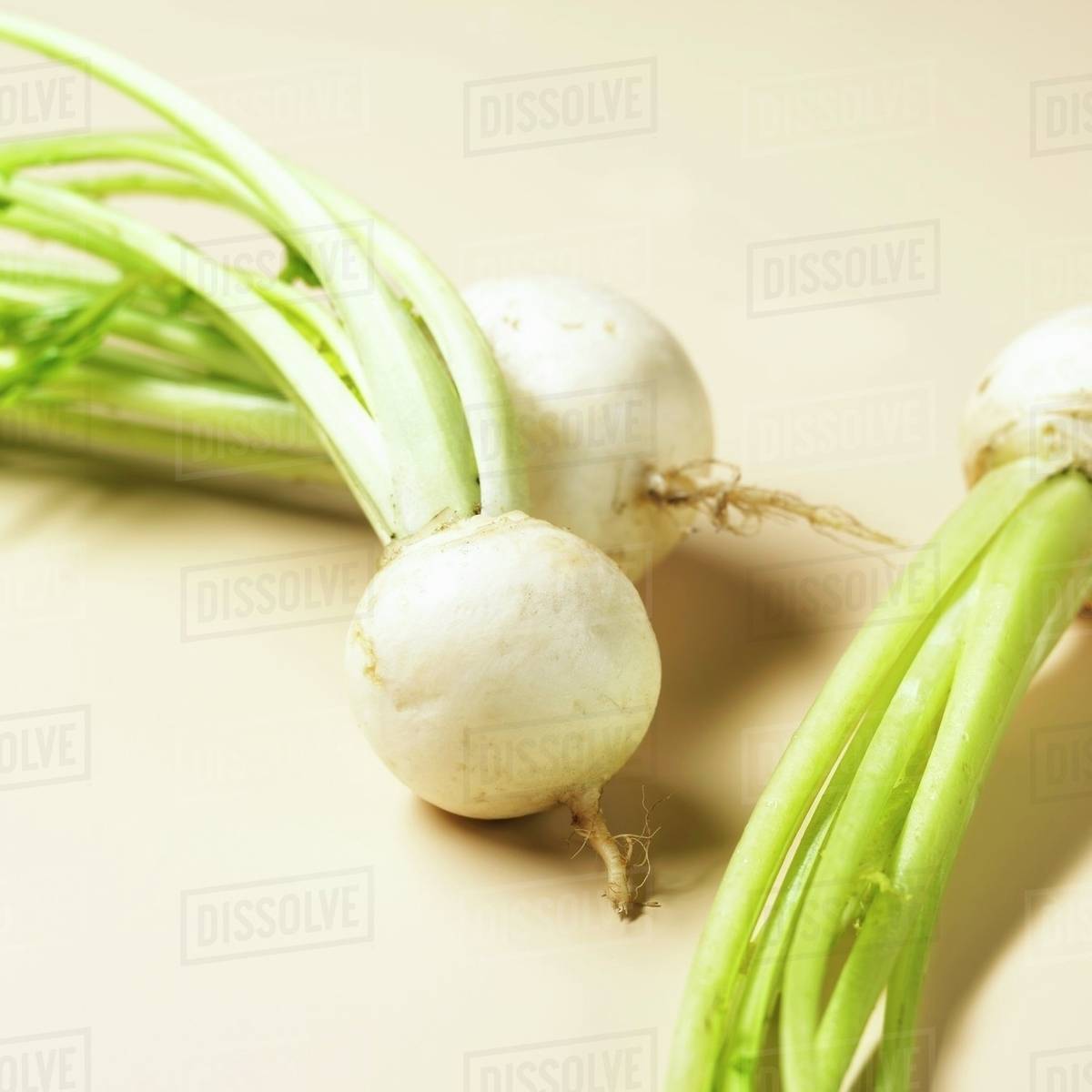 White turnips Stock Photo Dissolve