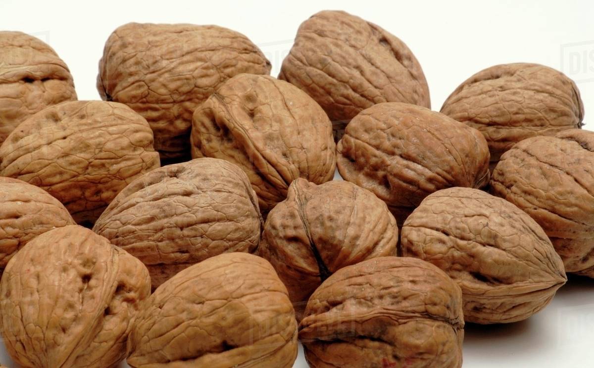Unshelled walnuts Stock Photo Dissolve