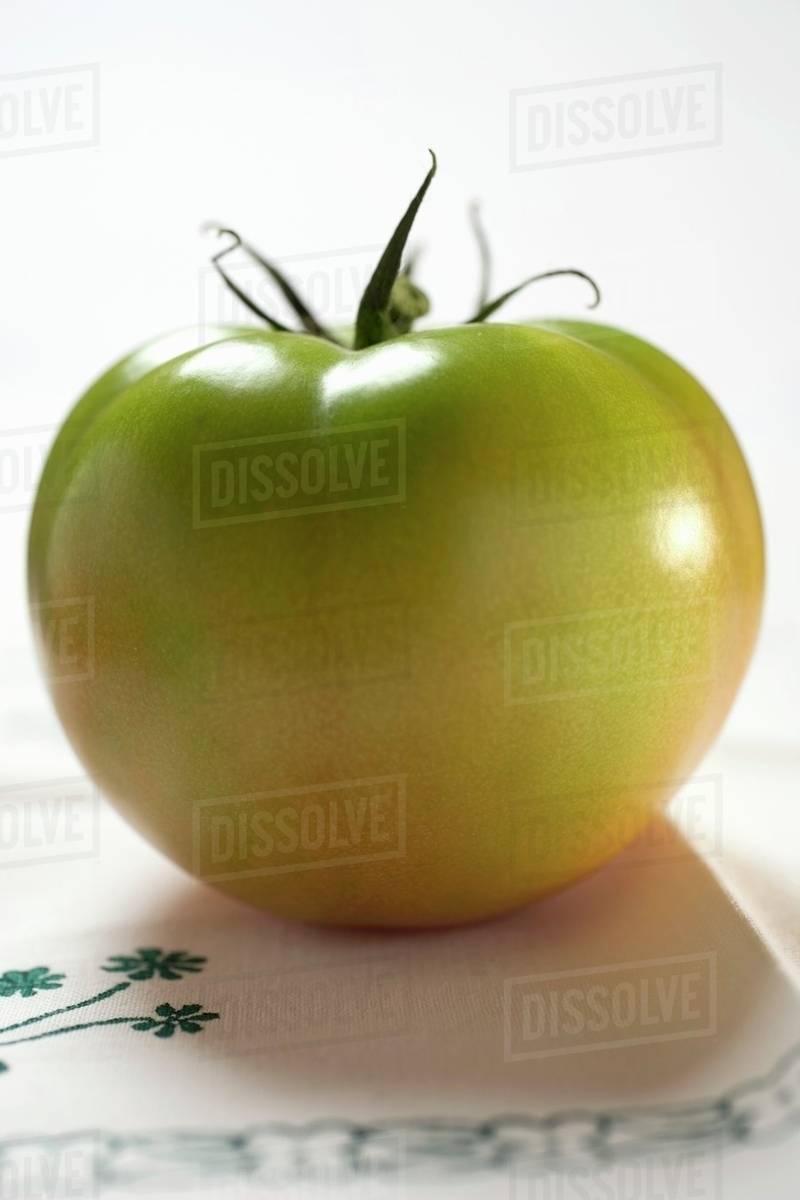Green beefsteak tomato Stock Photo Dissolve