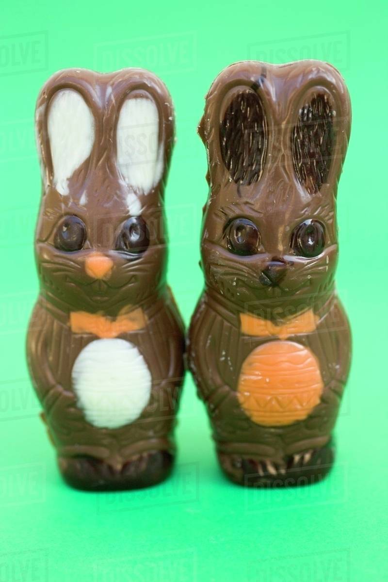 Two chocolate Easter Bunnies on green background Stock Photo Dissolve