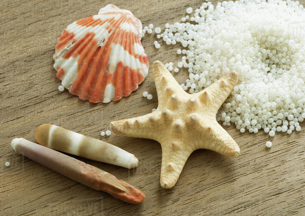 Seashells and bath pearls Stock Photo Dissolve