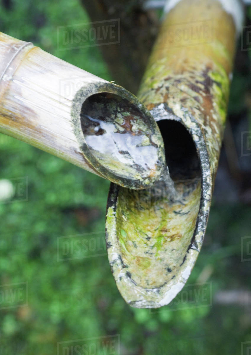 Bamboo water pipes Stock Photo Dissolve
