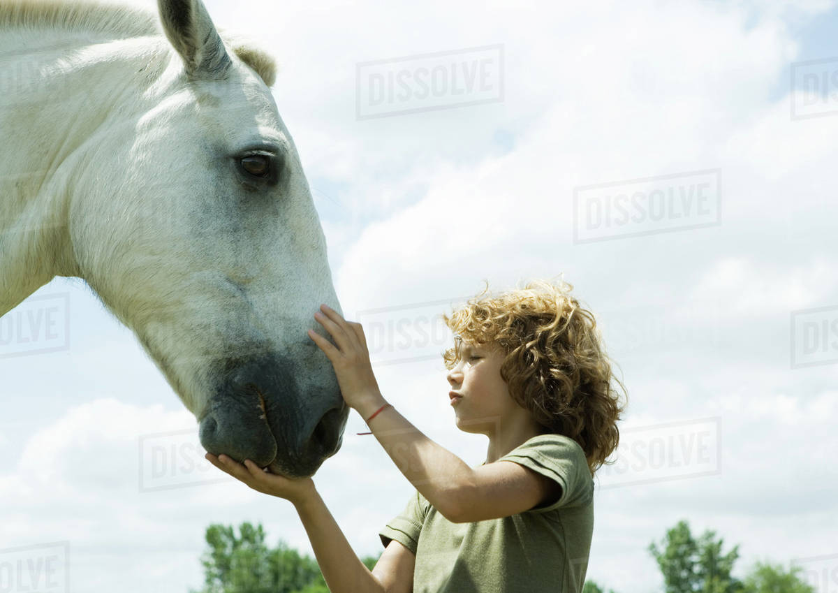 Boy petting horse Stock Photo Dissolve
