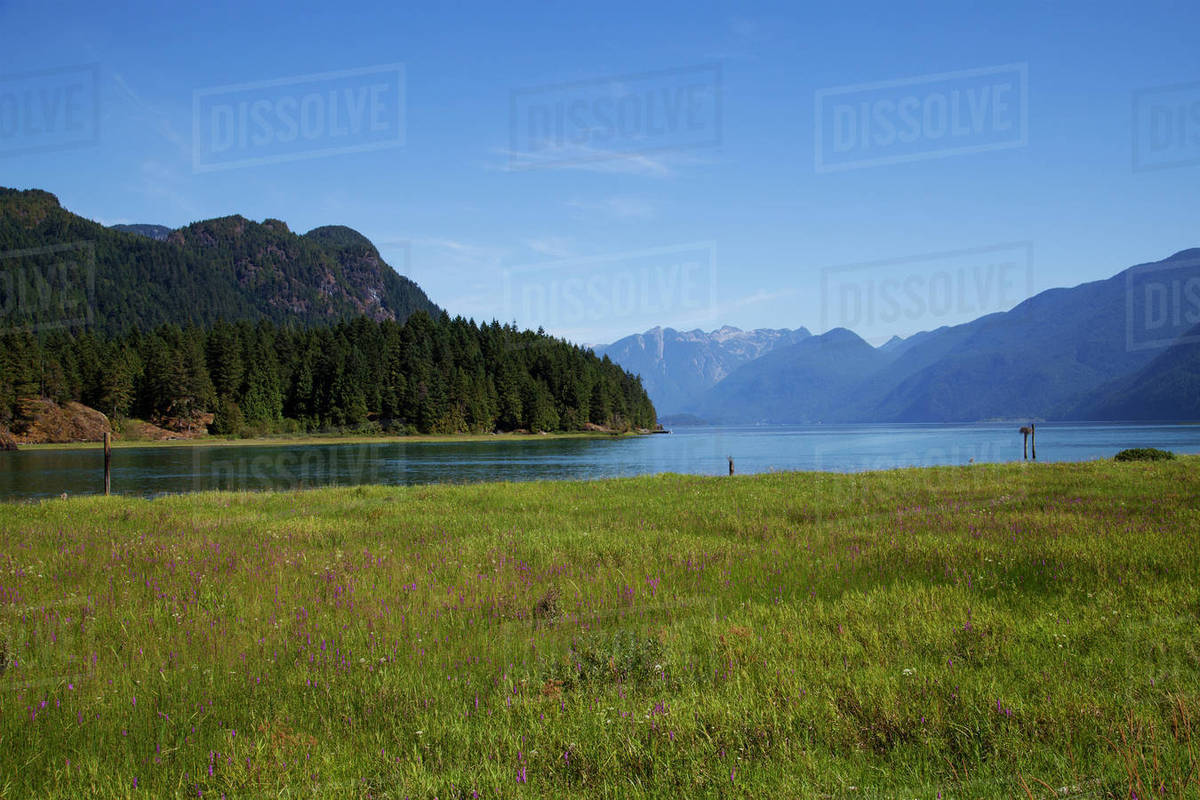Scenic Landscape, Pitt Lake, Pitt Meadows, British Columbia, Canada