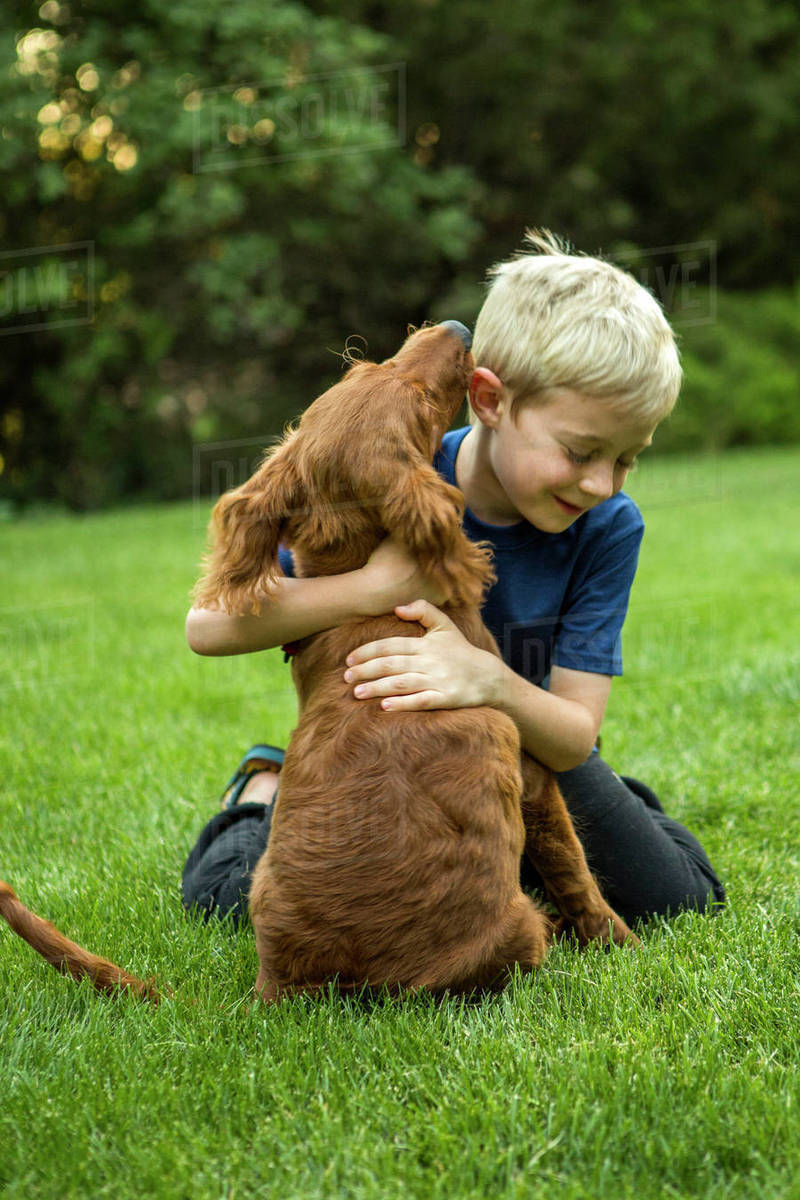 Caucasian boy hugging dog in grass Stock Photo Dissolve