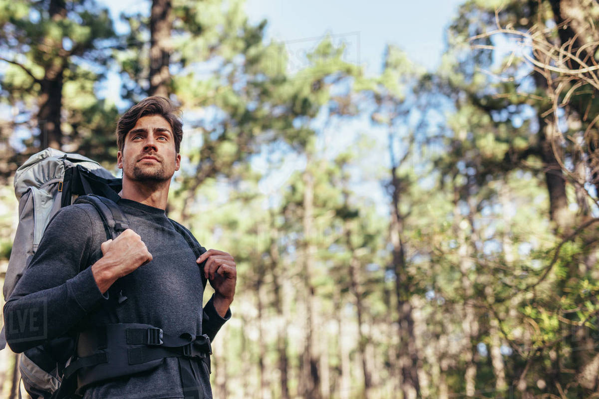 Hiker trekking in a forest putting on a backpack. Man exploring nature ...