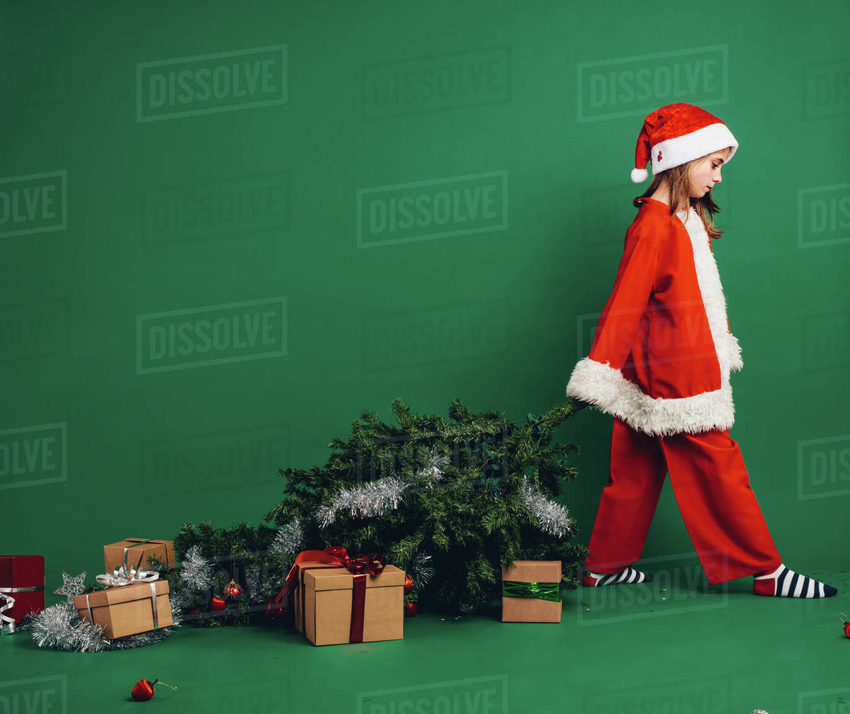 Girl dressed as santa claus walking holding a christmas tree. Girl walking away with christmas tree with gift boxes on the floor. - Royalty-free Stock Photo | Dissolve Girl dressed as santa claus walking holding a christmas tree. Girl walking away with christmas tree with gift boxes on the floor. - Royalty-free Stock Photo | Dissolve